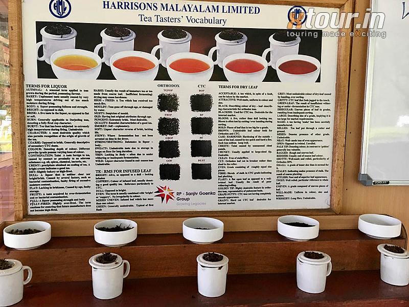Harrison Malayalam Limited Tea Testers Vocabulary