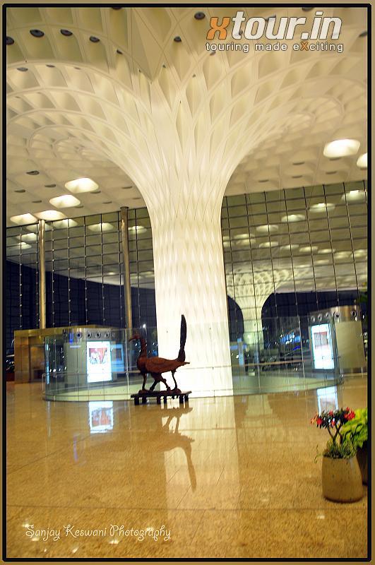 Peacock Art in Pillars and Root in Mumbai Terminal 2