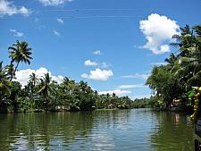 Clean Blue Sky and Greenary Alleppey Kerala