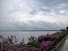 Clouds and Flowers Kumbalam Lake Kochi