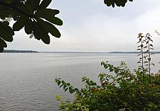 Kumbalam Lake View Behind Bushes and Trees
