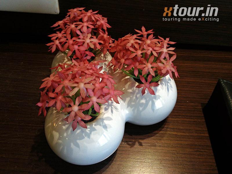 Flower pot in Ethnotel Hotel Kolkata