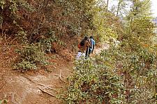 Tigers-nest-Taksang-narrow-lane-trails
