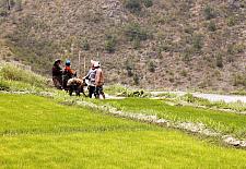 Bhutanese Farmers