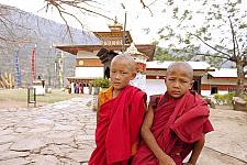 Little Monks at the Fertility Temple