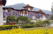 The Most Beautiful Punakha Dzong