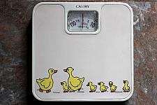 Weighing Scale With Ducks