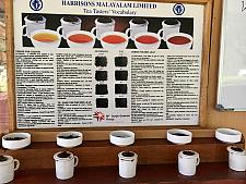 Harrison Malayalam Limited Tea Testers Vocabulary