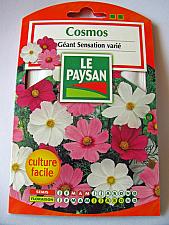 French flower Seeds - Cosmos