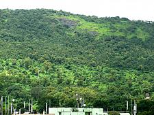 Yeor Hills In Thane During Monsoon